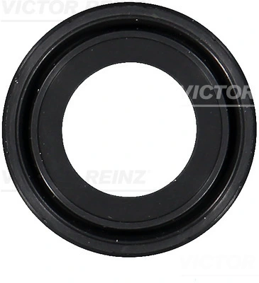 Shaft Seal, camshaft